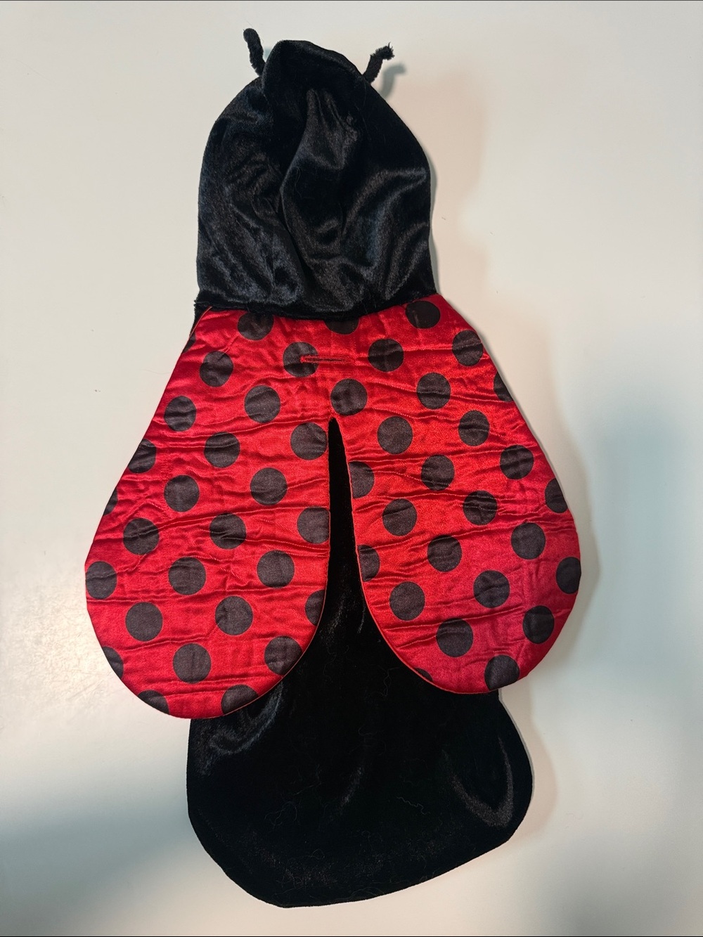 Ladybug Dog Hooded Cape - Red & Black Pet Costume